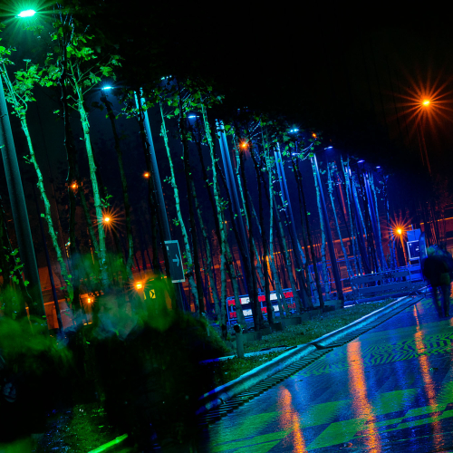 VIA151113 img 077.jpg